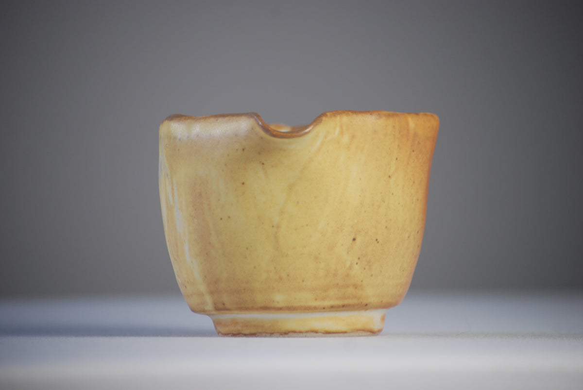 Yellow Orchid Chawan | Handmade Matcha Bowl
